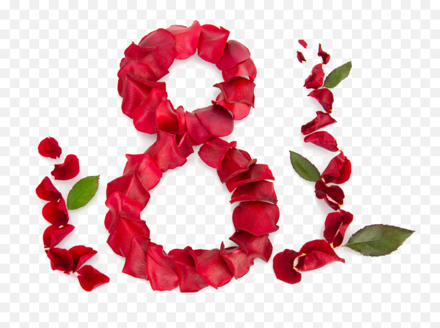 Download Woman March Color Moldova Character Day Petals - Flower Mart 8 Png,Rose Petals Png