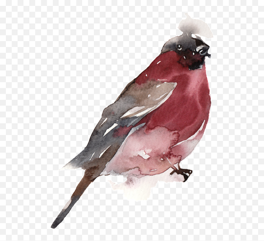 Download Creative Bird Water Ink Painting Transparent - Watercolor Painting Png,Ink In Water Png