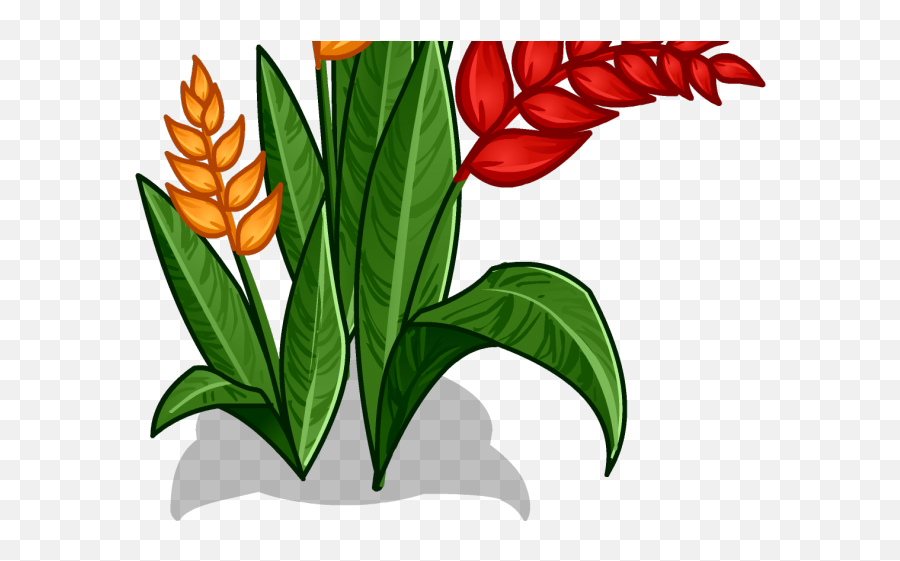 Red Flower Clipart Jungle - Png Download Full Size Amazon Rainforest Flower Drawings,Red Flower Png