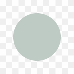 Augmont 20gm Silver Coin - Augmont Silver Coin Png,Silver Coin Png