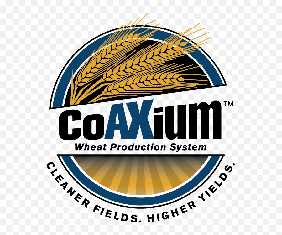 Lcs Photon Ax Limagrain Cereal Seeds - Mini Titan Png,Wheat Logo