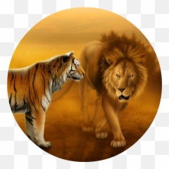 Tigers And Lions Dekstop Wallpaper Hd - Images Download png