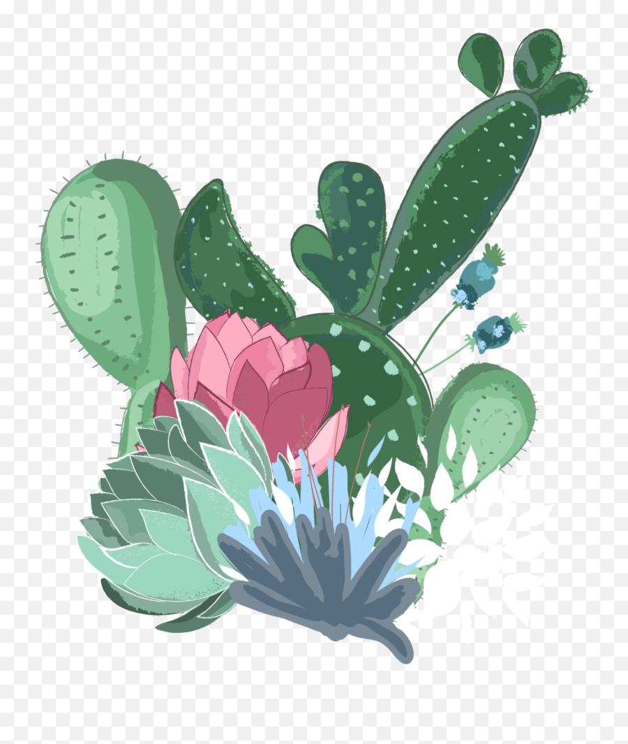 Suculentas Cactus Nopales - Sticker Flower Png,Nopal Png