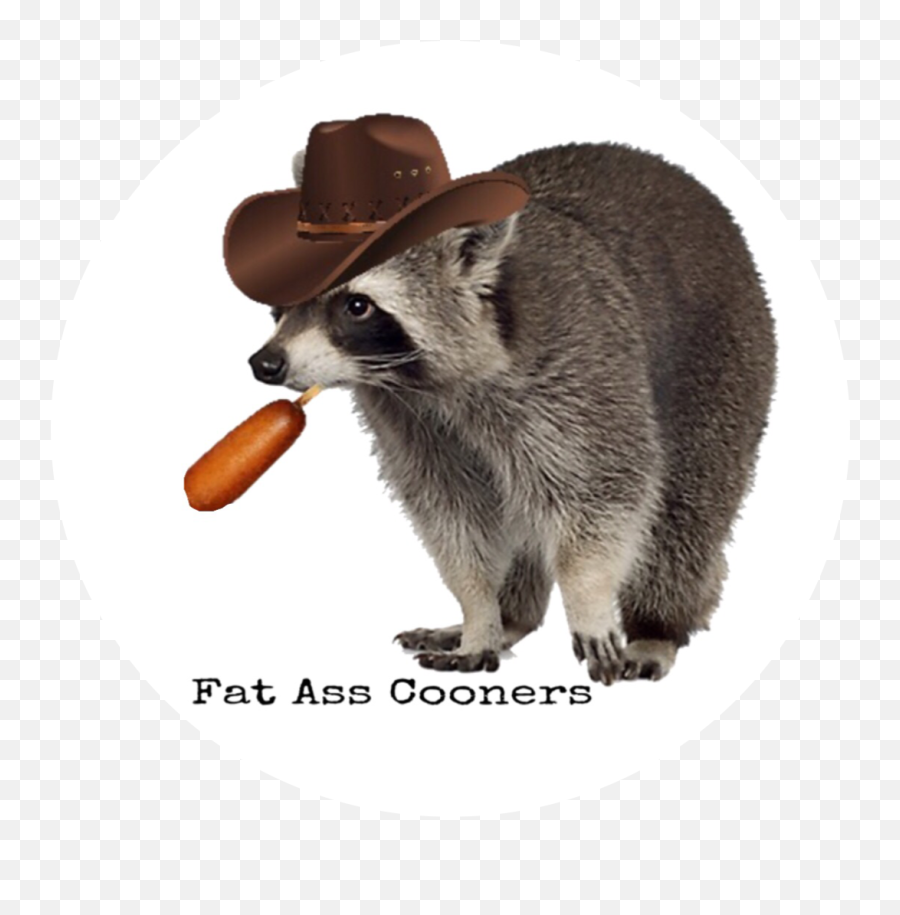 Mr Jackpots Sticker Fat Ass Cooners 101030 - Png Images Fat Raccoon With A Hat,Ass Png