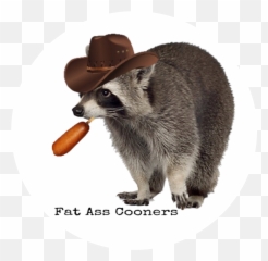 Mr Jackpots Sticker Fat Ass Cooners 101030 - Png Images Fat Raccoon With A Hat,Ass Png