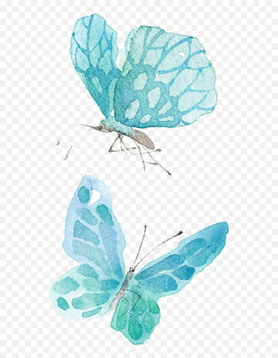 Download Ai Vector Watercolor Butterfly - Blue Butterfly Watercolour Png,Watercolor Butterfly Png