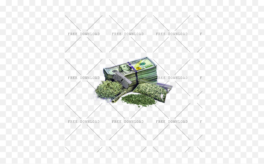 No Drugs Bv Png Image With Transparent - Drugs Png,Hedge Png