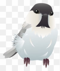Willow Tit Bird Clipart - Falconiformes Png,Bird Clipart Png