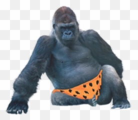Monkey Orange Pants - Gorilla Png Transparent,Ape Png