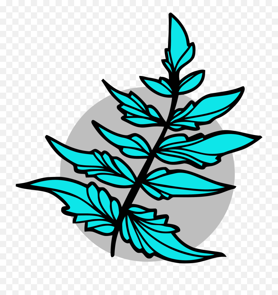 Fern Clipart Compound Leaf - Drawing Png,Fern Leaf Png