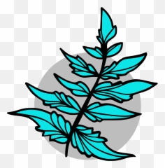Fern Clipart Compound Leaf - Drawing png