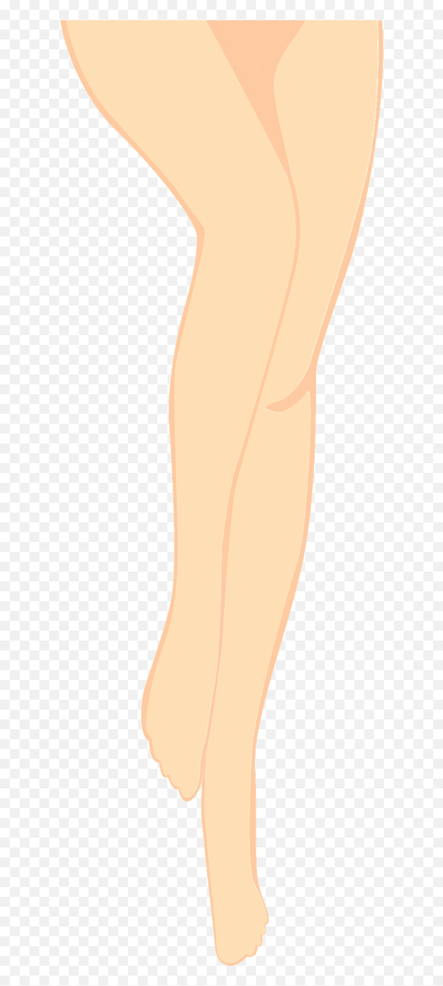 Legs Clipart - Ankle Png,Leg Png
