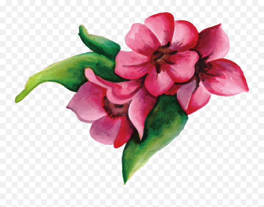Pink Flowers Png Download Painted