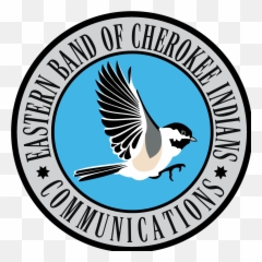 Download Indian Feather Png - Language