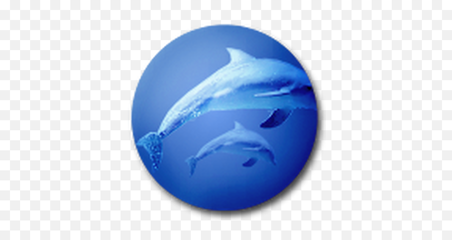 Dolphin Icon - Gnomelookorg Common Bottlenose Dolphin Png,Dolphin Icon