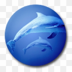 Dolphin Icon - Gnomelookorg Common Bottlenose png