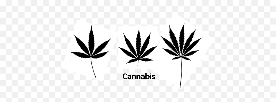 5 Point Marijuana Leaf - Marijuana 5 Point Leaf Png,Marijuana Leaf Transparent