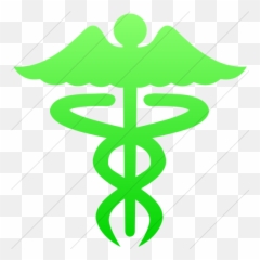 Iconsetc Simple Ios Neon Green Gradient Ocha Humanitarians - Staff Of Hermes Png,Ios Health Icon