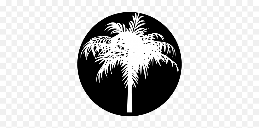 Palm Tree Gobo Projected Image - Emblem Png,Palm Tree Logo