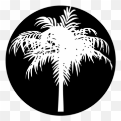 Palm Tree Gobo Projected Image - Emblem png