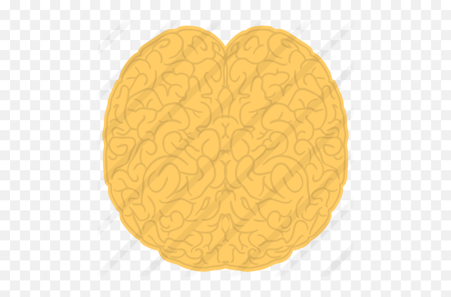 Human Brain - Heart Png,Human Brain Png