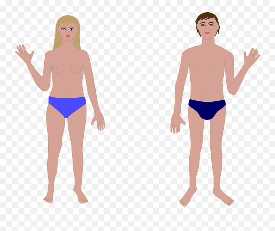 Human Body Man And Woman Clipart Png Full Size - Girl Part Of Body,Woman Clipart Png