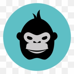 Privacy Policy - GorillaHub png