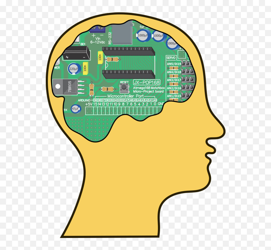 Areayellowbrain Png Clipart - Royalty Free Svg Png,Microcontroller Icon