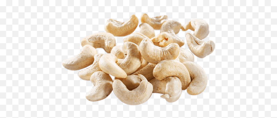 Cashew Png Transparent Images 18 - Transparent Background Cashew Nut Sketch,Cashew Png