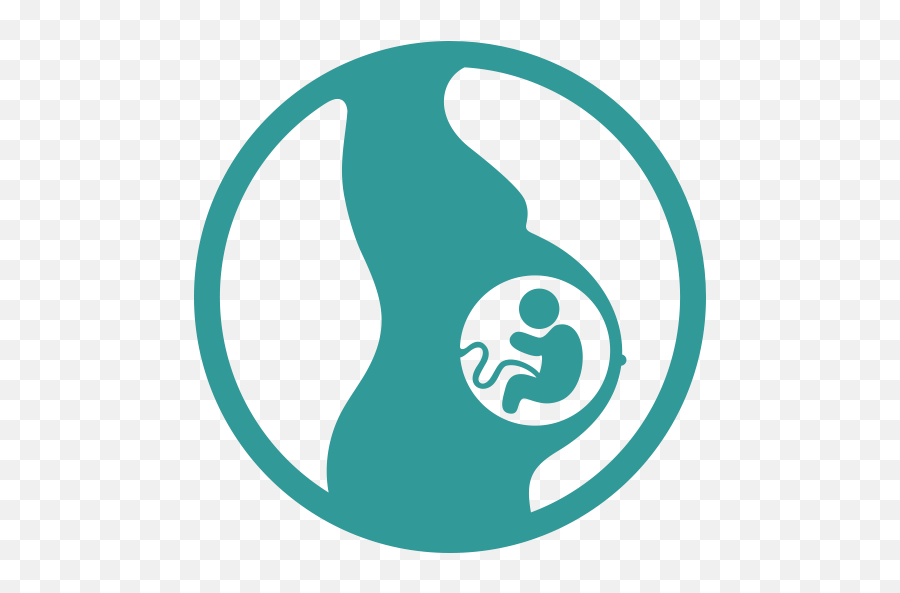 Fetus Pregnancy Pregnant - Pregnant Women Icon Png,Pregnant Png