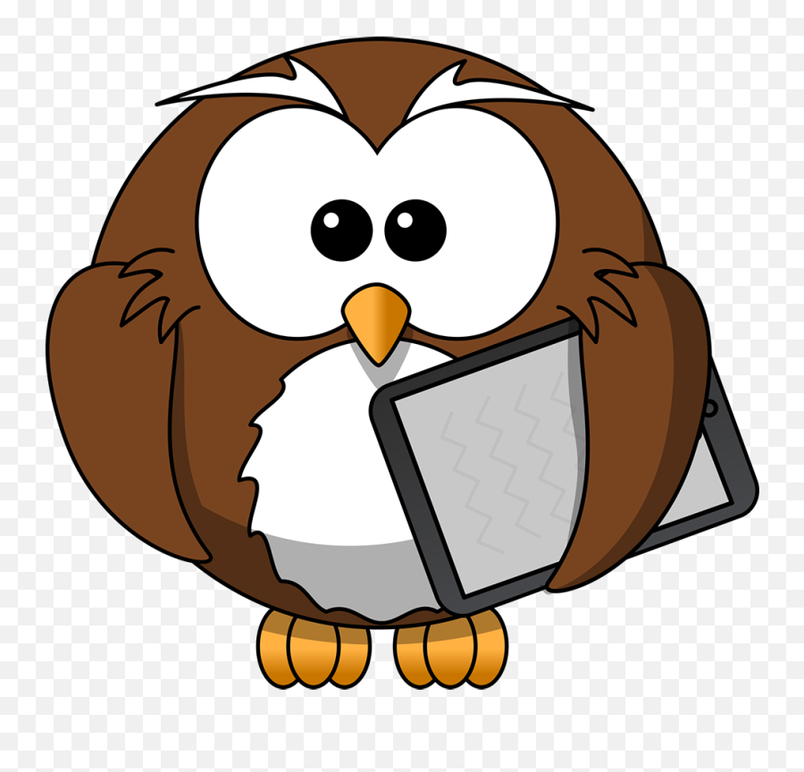 Cartoon Owl With Tablet Tim - Le Dessin De La Poésie De La Grève Des Sapins De Dominique Dimey Png,Owl Transparent