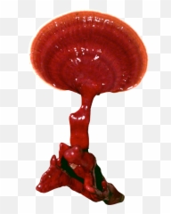 Reishi Plug Spawn - Approximately 1000 Plugs Illustration Png,Spawn Png
