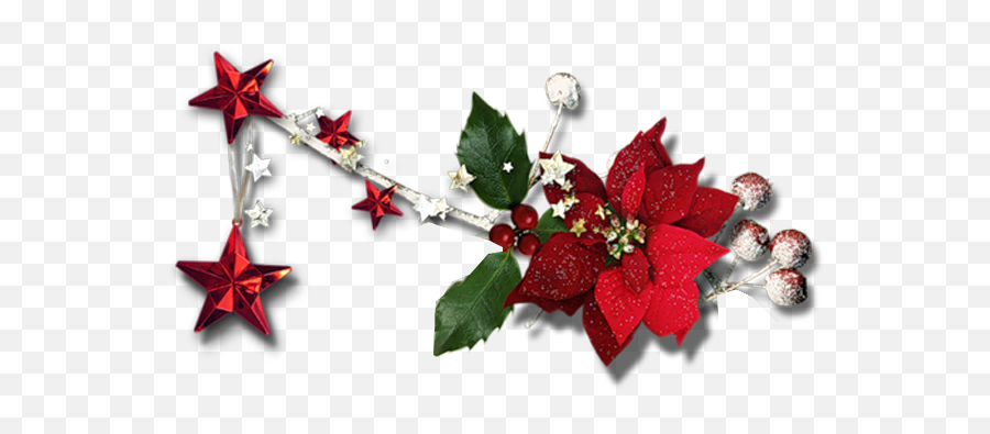 Exclusive Pngu0027s - Magical Christmas Evergreen Rose,Exclusive Png