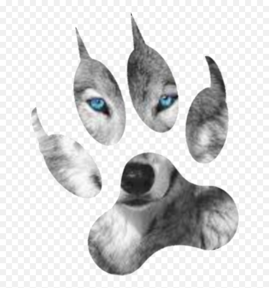 Wolf Paw - Sticker By Willer Ramirez Wolf Png,Wolf Paw Png
