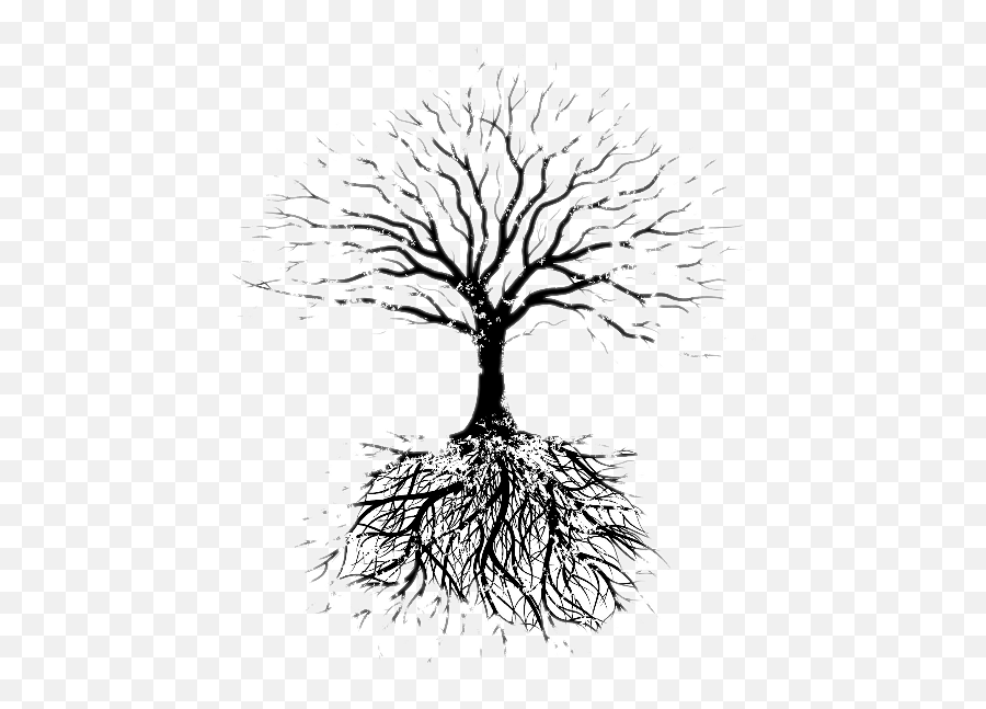 Fruit Tree Root Drawing Faribault Evangelical Free Church - Tree Vector With Roots Png,Fruit Tree Png