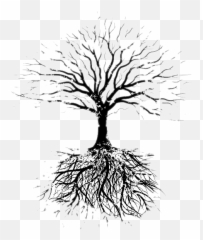 Fruit Tree Root Drawing Faribault Evangelical Free Church - Tree Vector With Roots Png,Fruit Tree Png