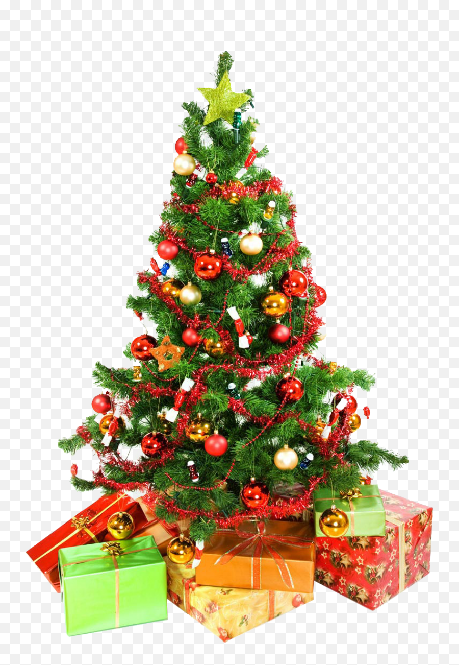 Download Christmas Tree Presents Underneath Png Image For Free - Christmas Tree High Resolution,Christmas Backgrounds Png