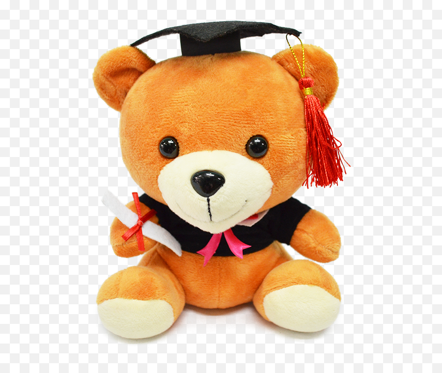 Graduation Teddy Bear M Plush Toy - Stuffed Toy Png,Stuffed Animal Png