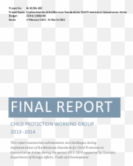 Final Report Implementation Of The Minimum Standards For - Publication png