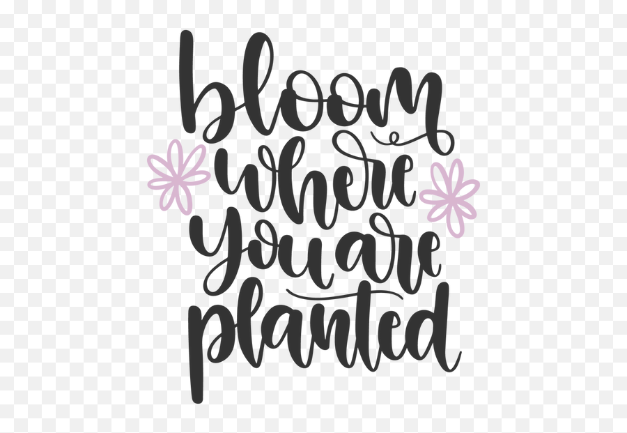 Bloom Where Your Are Planted Png Amazing Iron - Calligraphy,Funny Png Images
