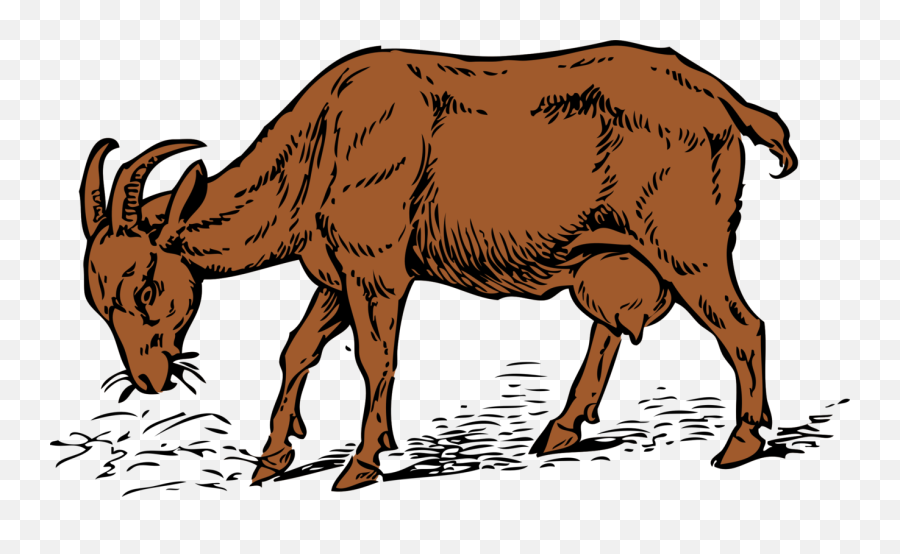 Brown Goat Free Svg - Goat Eating Grass Drawing Png,Goat Png
