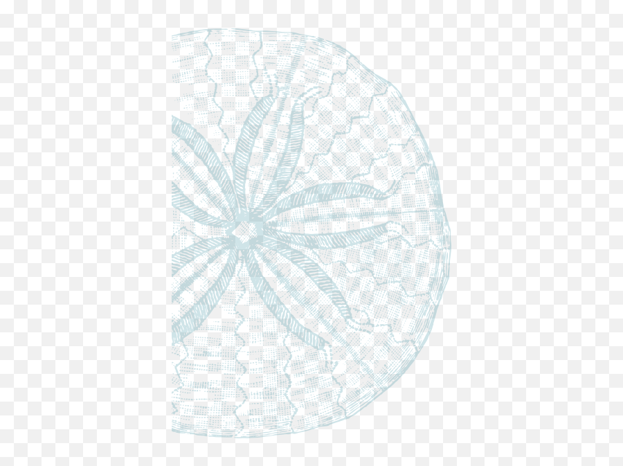 Download Hd Sand Dollar - Kevin Ou0027brien Studio Nauticals Doily Png,Sand Dollar Png