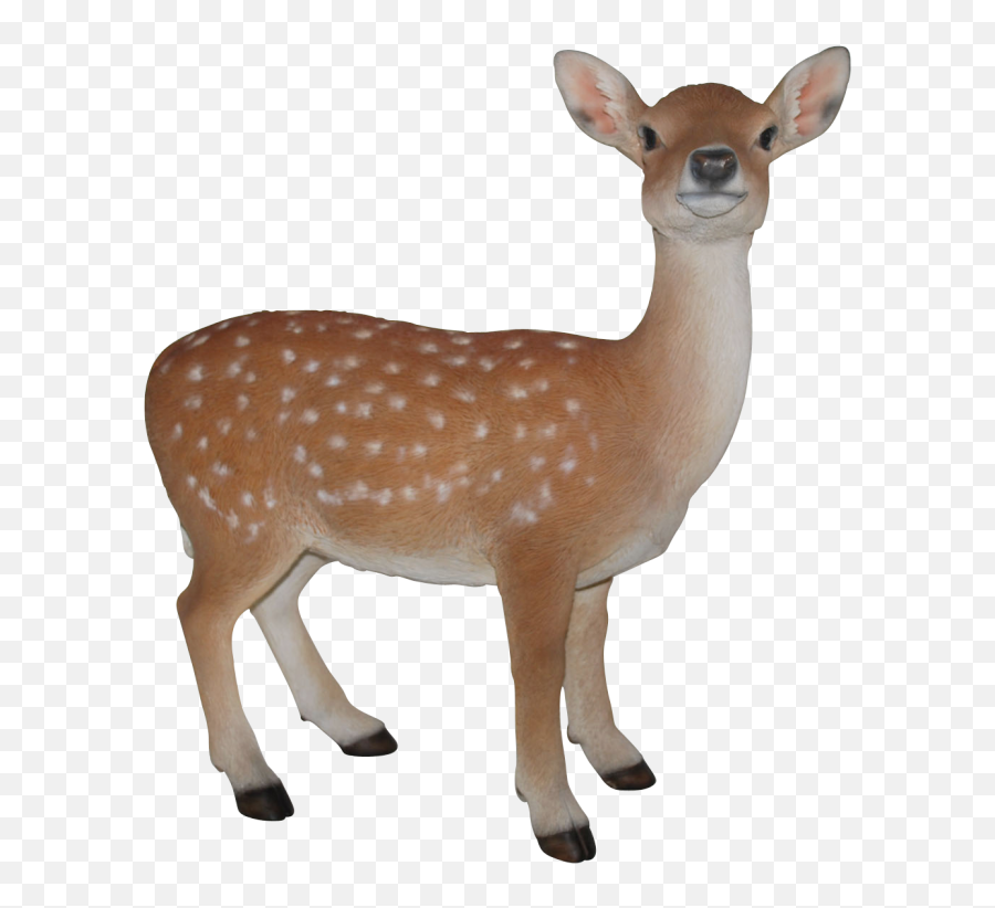 Baby Deer Png Transparent - Baby Deer Png,Baby Deer Png