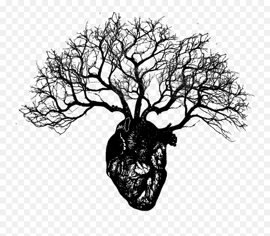 Download Heart Tree - Human Heart With Branches Png Image Human Heart With Branches,Human Heart Png