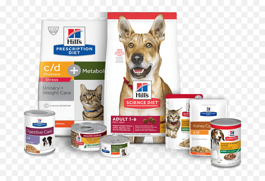 Hillu0027s Pet Nutrition - Dog U0026 Cat Food Transforming Lives Pet Nutrition Diet Png,Pets Png