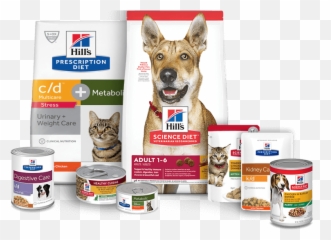 Hillu0027s Pet Nutrition - Dog U0026 Cat Food Transforming Lives Pet Nutrition Diet Png,Pets Png