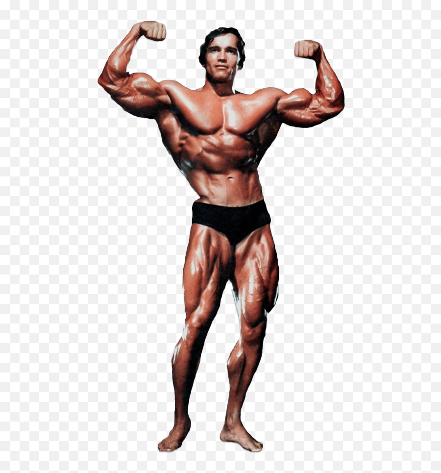 Arnold Schwarzenegger Bodybuilding Png - Arnold Schwarzenegger Diet Plan,Body Builder Png