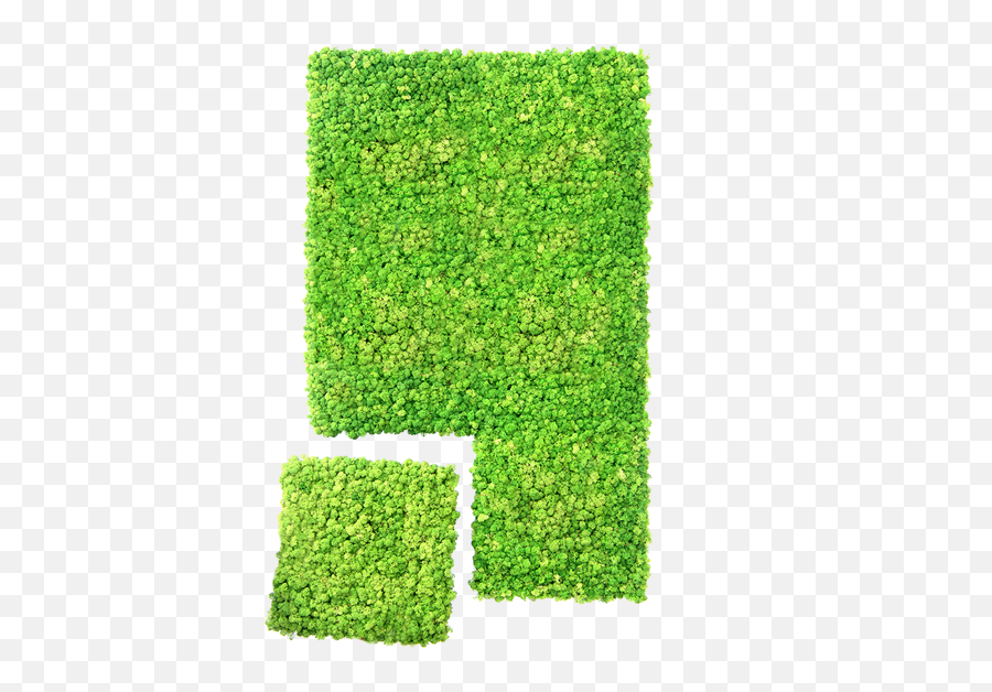 Wall System - Vertical Lawn Png,Hedge Png