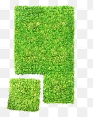 Wall System - Vertical Lawn Png,Hedge Png