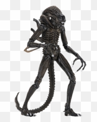 Ultimate Warrior Png - Alien Warrior 7u201d Ultimate Action Neca Ultimate Alien Warrior,Xenomorph Transparent